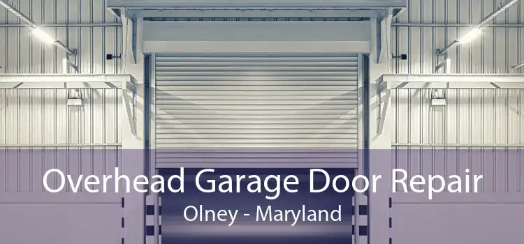 Overhead Garage Door Repair Olney - Maryland