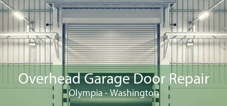Overhead Garage Door Repair Olympia - Washington