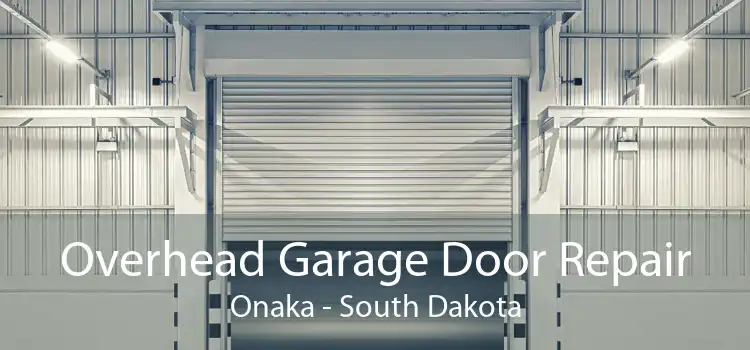 Overhead Garage Door Repair Onaka - South Dakota