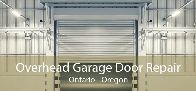 Overhead Garage Door Repair Ontario - Oregon