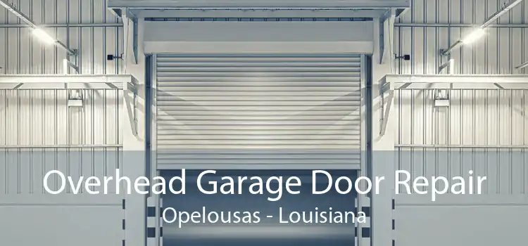 Overhead Garage Door Repair Opelousas - Louisiana