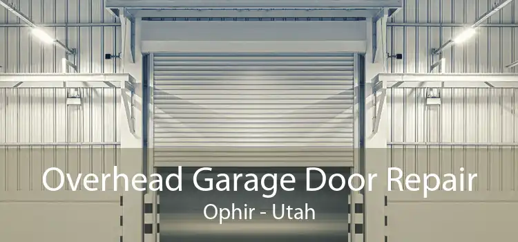 Overhead Garage Door Repair Ophir - Utah