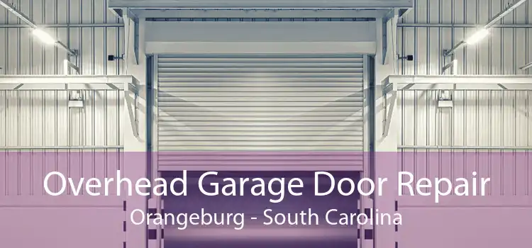 Overhead Garage Door Repair Orangeburg - South Carolina