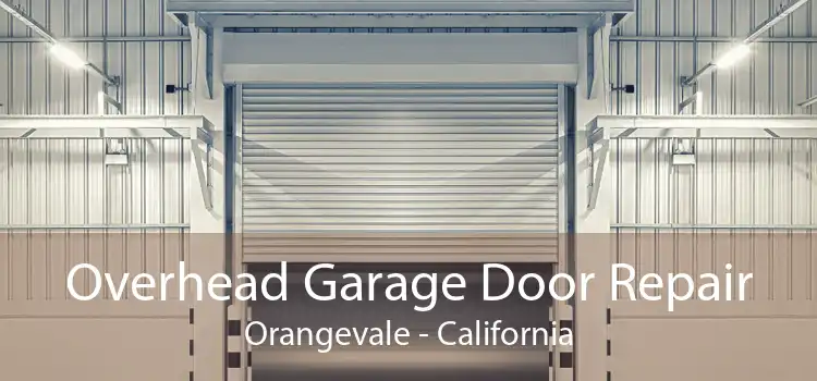 Overhead Garage Door Repair Orangevale - California