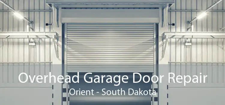Overhead Garage Door Repair Orient - South Dakota
