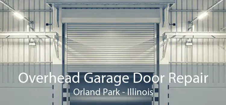 Overhead Garage Door Repair Orland Park - Illinois