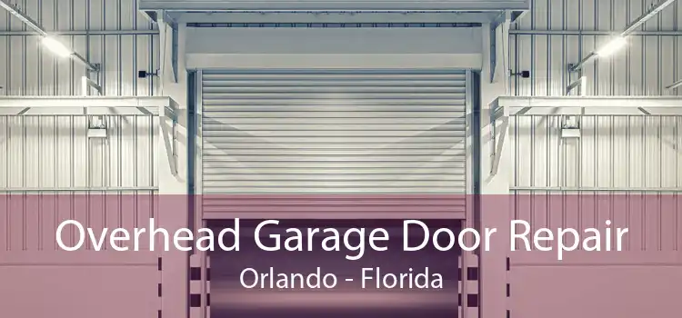 Overhead Garage Door Repair Orlando - Florida