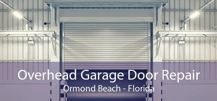 Overhead Garage Door Repair Ormond Beach - Florida
