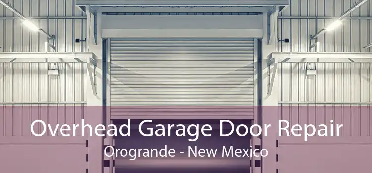 Overhead Garage Door Repair Orogrande - New Mexico