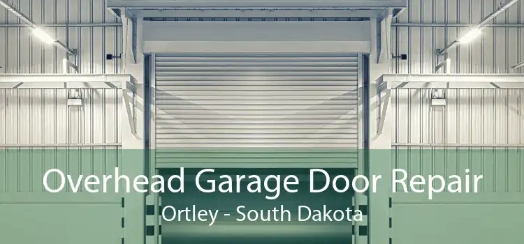 Overhead Garage Door Repair Ortley - South Dakota