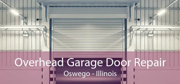Overhead Garage Door Repair Oswego - Illinois