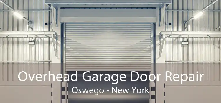 Overhead Garage Door Repair Oswego - New York