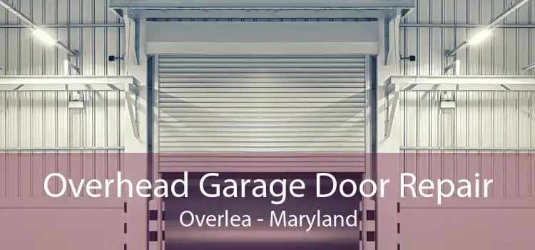 Overhead Garage Door Repair Overlea - Maryland