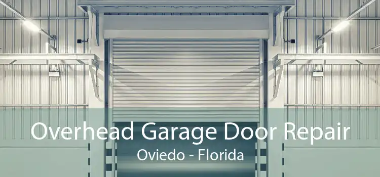 Overhead Garage Door Repair Oviedo - Florida