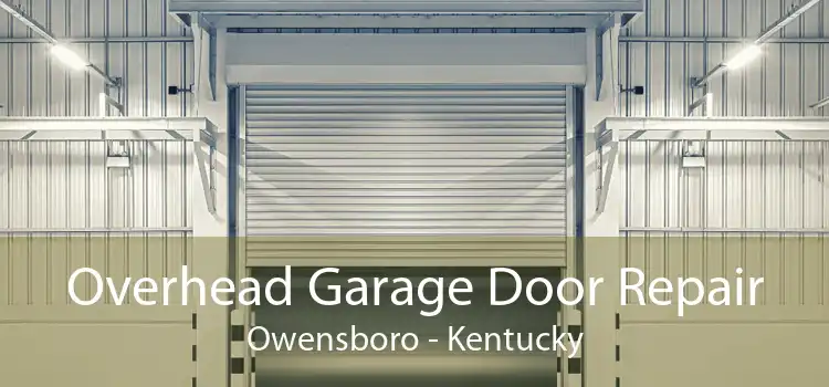 Overhead Garage Door Repair Owensboro - Kentucky