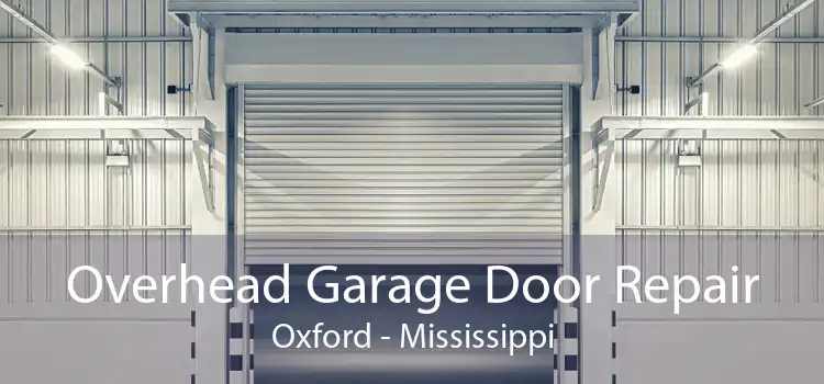 Overhead Garage Door Repair Oxford - Mississippi