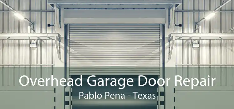 Overhead Garage Door Repair Pablo Pena - Texas