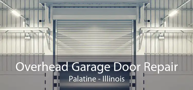 Overhead Garage Door Repair Palatine - Illinois