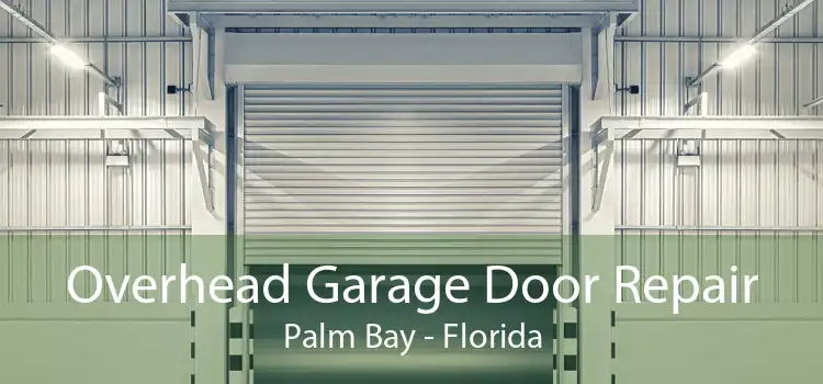 Overhead Garage Door Repair Palm Bay - Florida