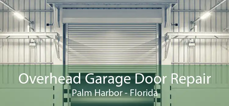 Overhead Garage Door Repair Palm Harbor - Florida