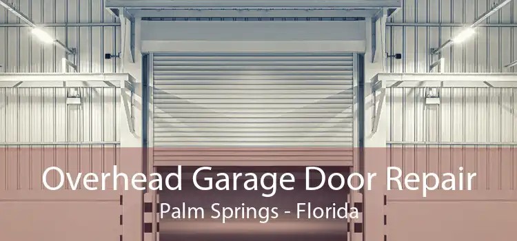 Overhead Garage Door Repair Palm Springs - Florida