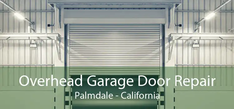 Overhead Garage Door Repair Palmdale - California