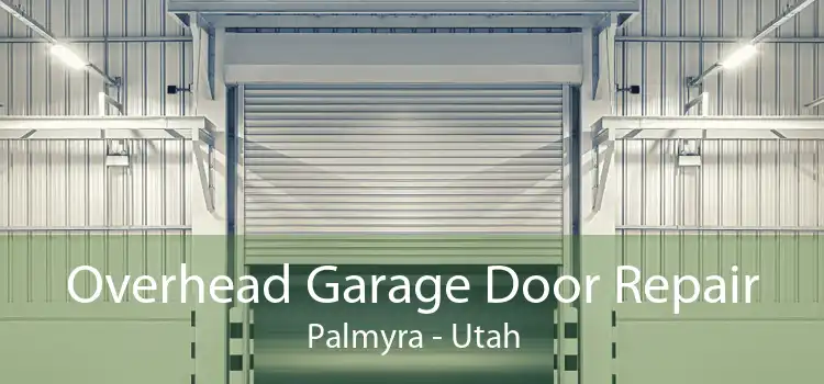 Overhead Garage Door Repair Palmyra - Utah