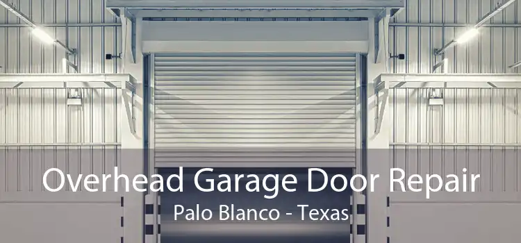 Overhead Garage Door Repair Palo Blanco - Texas