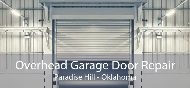 Overhead Garage Door Repair Paradise Hill - Oklahoma