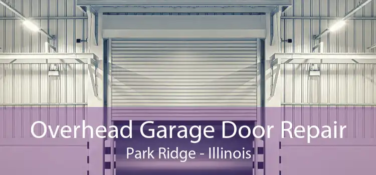 Overhead Garage Door Repair Park Ridge - Illinois