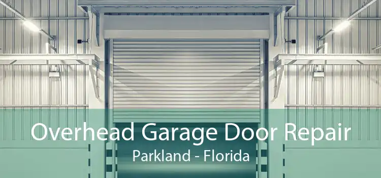 Overhead Garage Door Repair Parkland - Florida