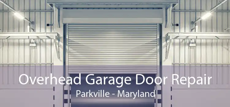 Overhead Garage Door Repair Parkville - Maryland