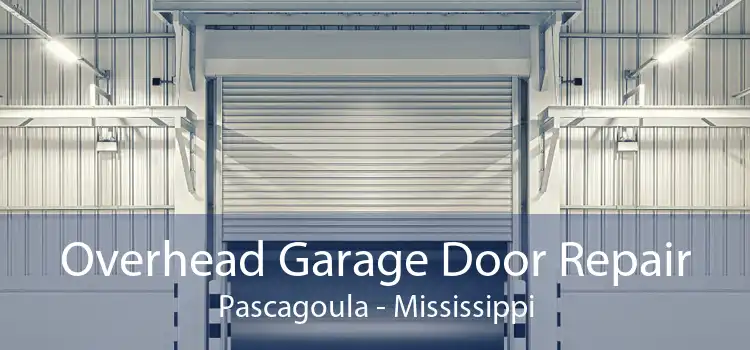 Overhead Garage Door Repair Pascagoula - Mississippi