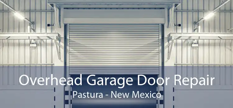 Overhead Garage Door Repair Pastura - New Mexico