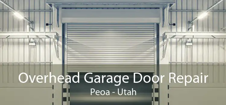 Overhead Garage Door Repair Peoa - Utah