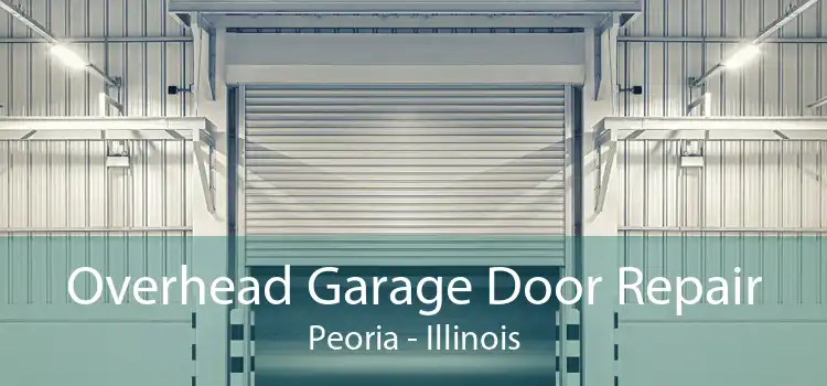 Overhead Garage Door Repair Peoria - Illinois