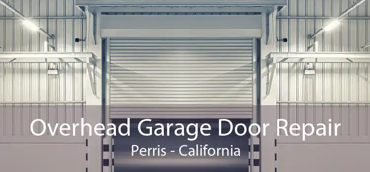 Overhead Garage Door Repair Perris - California