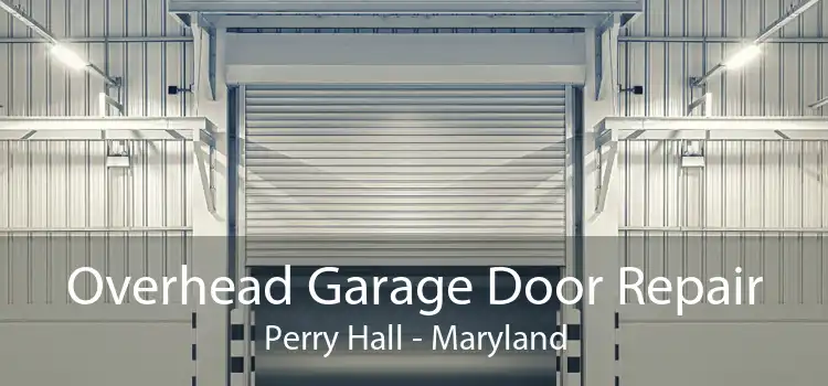 Overhead Garage Door Repair Perry Hall - Maryland