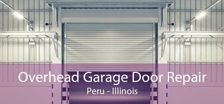 Overhead Garage Door Repair Peru - Illinois