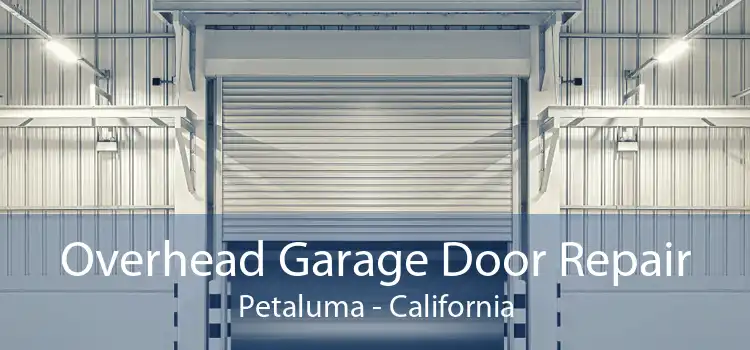 Overhead Garage Door Repair Petaluma - California