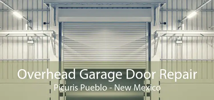 Overhead Garage Door Repair Picuris Pueblo - New Mexico