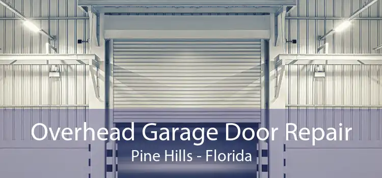 Overhead Garage Door Repair Pine Hills - Florida