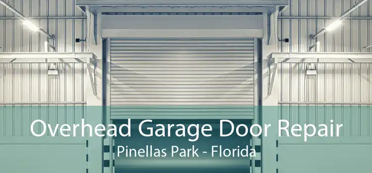 Overhead Garage Door Repair Pinellas Park - Florida