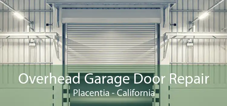 Overhead Garage Door Repair Placentia - California