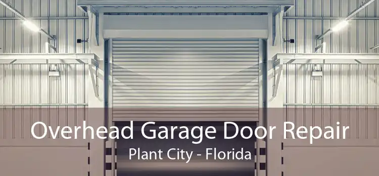 Overhead Garage Door Repair Plant City - Florida