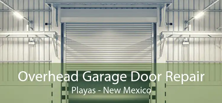 Overhead Garage Door Repair Playas - New Mexico