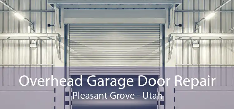 Overhead Garage Door Repair Pleasant Grove - Utah