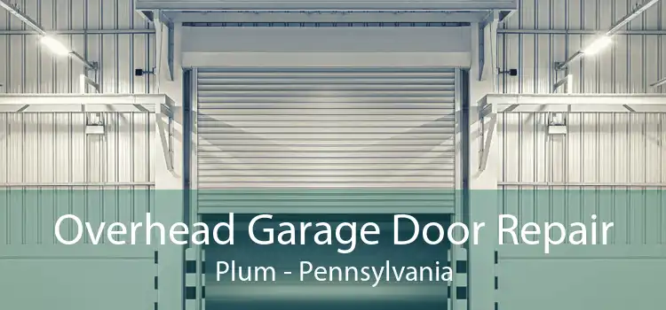 Overhead Garage Door Repair Plum - Pennsylvania