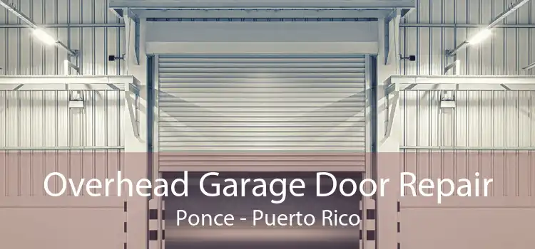Overhead Garage Door Repair Ponce - Puerto Rico