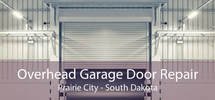 Overhead Garage Door Repair Prairie City - South Dakota